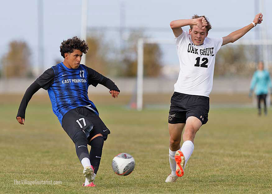AP0I3172-DxO_DeepPRIME-3
