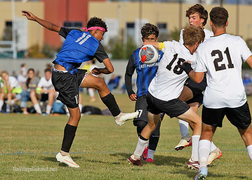 AP0I3446-DxO_DeepPRIME-3